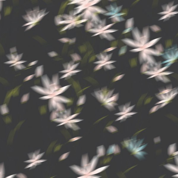 Cotton poplin blur flowers - Afbeelding 2