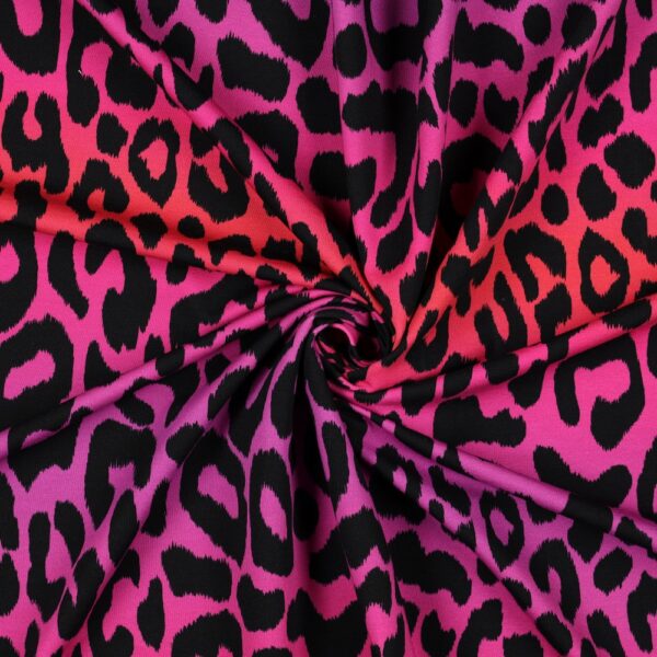 French Terry Leo gradient pink - Afbeelding 2