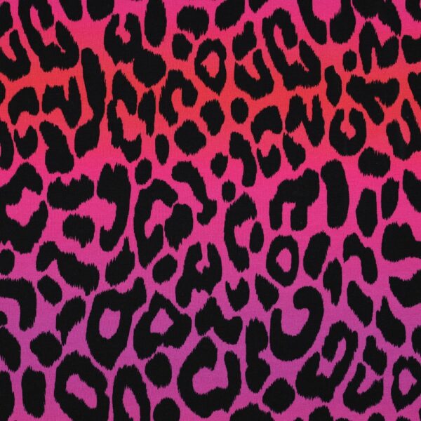 French Terry Leo gradient pink - Afbeelding 3